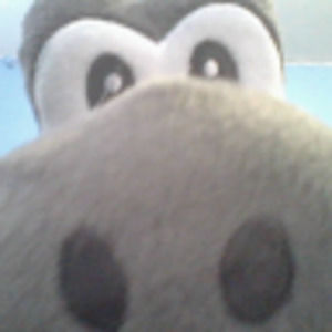 Meet your Posher, Korblox2011